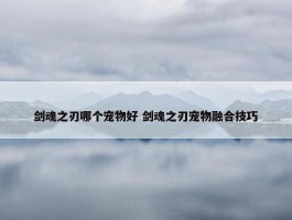 剑魂之刃哪个宠物好 剑魂之刃宠物融合技巧