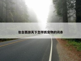 包含西游天下怎样抓宠物的词条