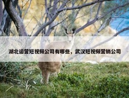 湖北运营短视频公司有哪些，武汉短视频营销公司