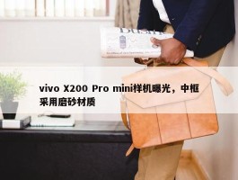 vivo X200 Pro mini样机曝光，中框采用磨砂材质