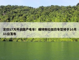 定价17万开战国产电车！曝特斯拉低价车型将于10月11日发布