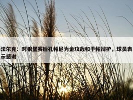 法尔克：对狼堡赛后孔帕尼为金玟哉和于帕辩护，球员表示感谢