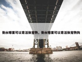 衡水哪里可以寄活体宠物，衡水哪里可以寄活体宠物狗