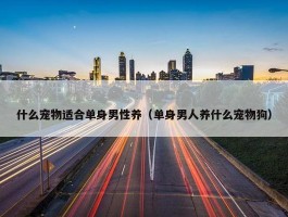 什么宠物适合单身男性养（单身男人养什么宠物狗）