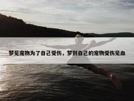 梦见宠物为了自己受伤，梦到自己的宠物受伤见血