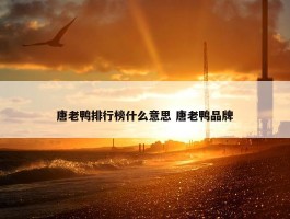 唐老鸭排行榜什么意思 唐老鸭品牌