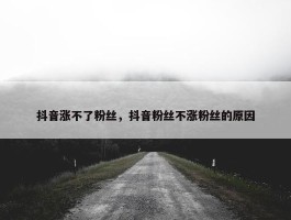 抖音涨不了粉丝，抖音粉丝不涨粉丝的原因