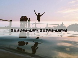 属龙适合放什么宠物 属龙的放什么植物好