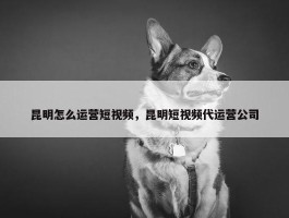 昆明怎么运营短视频，昆明短视频代运营公司