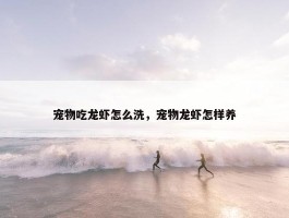 宠物吃龙虾怎么洗，宠物龙虾怎样养