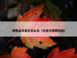 宠物去乌克兰怎么办（乌克兰宠物托运）