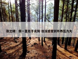 张之臻：我一直处于劣势 但没感觉到外界压力大