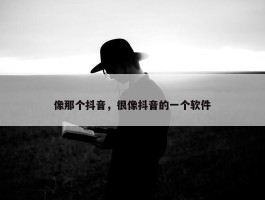 像那个抖音，很像抖音的一个软件