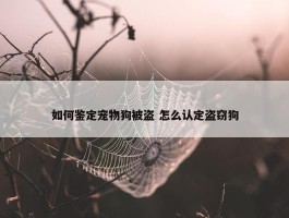 如何鉴定宠物狗被盗 怎么认定盗窃狗