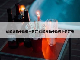 红眼宠物宝珠哪个更好 红眼宠物宝珠哪个更好看