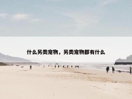 什么另类宠物，另类宠物都有什么