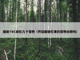 魔兽TBC兽栏几个宠物（怀旧服兽栏里的宠物会跑吗）