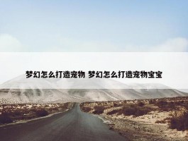 梦幻怎么打造宠物 梦幻怎么打造宠物宝宝