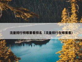 流量排行榜哪里看排名（流量排行在哪里看）