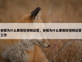 老板为什么要做短视频运营，老板为什么要做短视频运营工作