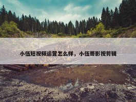 小伍短视频运营怎么样，小伍哥影视剪辑