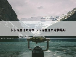 卡卡保皇什么宠物 卡卡保皇什么宠物最好