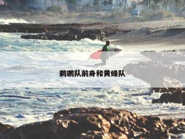 鹈鹕队前身和黄蜂队