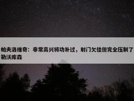 帕夫洛维奇：非常高兴将功补过，射门欠佳但完全压制了勒沃库森