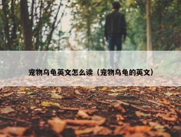 宠物乌龟英文怎么读（宠物乌龟的英文）