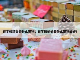 在学校适合养什么宠物，在学校偷偷养什么宠物最好?