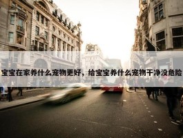 宝宝在家养什么宠物更好，给宝宝养什么宠物干净没危险