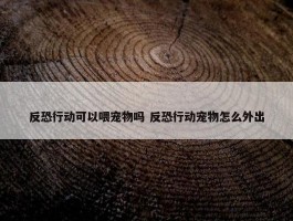 反恐行动可以喂宠物吗 反恐行动宠物怎么外出