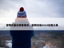 宠物坟墓在哪里看到，宠物坟场2019在哪儿看