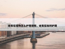 绝育后宠物怎么护理视频，绝育后如何护理