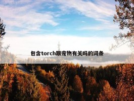 包含torch跟宠物有关吗的词条