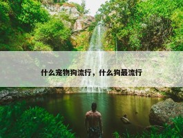 什么宠物狗流行，什么狗最流行