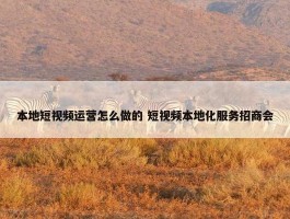 本地短视频运营怎么做的 短视频本地化服务招商会