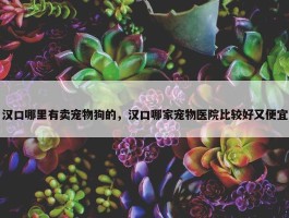 汉口哪里有卖宠物狗的，汉口哪家宠物医院比较好又便宜