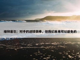 维特塞尔：对手的进球很棒，但我们本来可以避免的