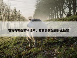 石首有哪些宠物诊所，石首兽医站在什么位置