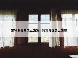 宠物狗鼻子怎么清洗，狗狗鼻屎怎么清理