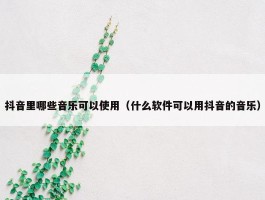 抖音里哪些音乐可以使用（什么软件可以用抖音的音乐）