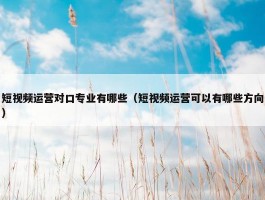 短视频运营对口专业有哪些（短视频运营可以有哪些方向）