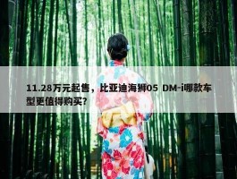 11.28万元起售，比亚迪海狮05 DM-i哪款车型更值得购买？