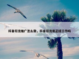 抖音引流推广怎么做，抖音引流是正经工作吗