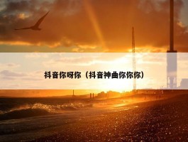 抖音你呀你（抖音神曲你你你）