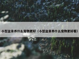 小型盆景养什么宠物更好（小型盆景养什么宠物更好看）