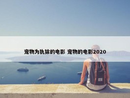 宠物为犰狳的电影 宠物的电影2020