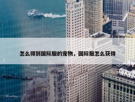 怎么得到国际服的宠物，国际服怎么获得