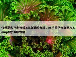 仅希勒和亨利连续3年拿英超金靴，哈兰德已连拿两次&现10球领跑